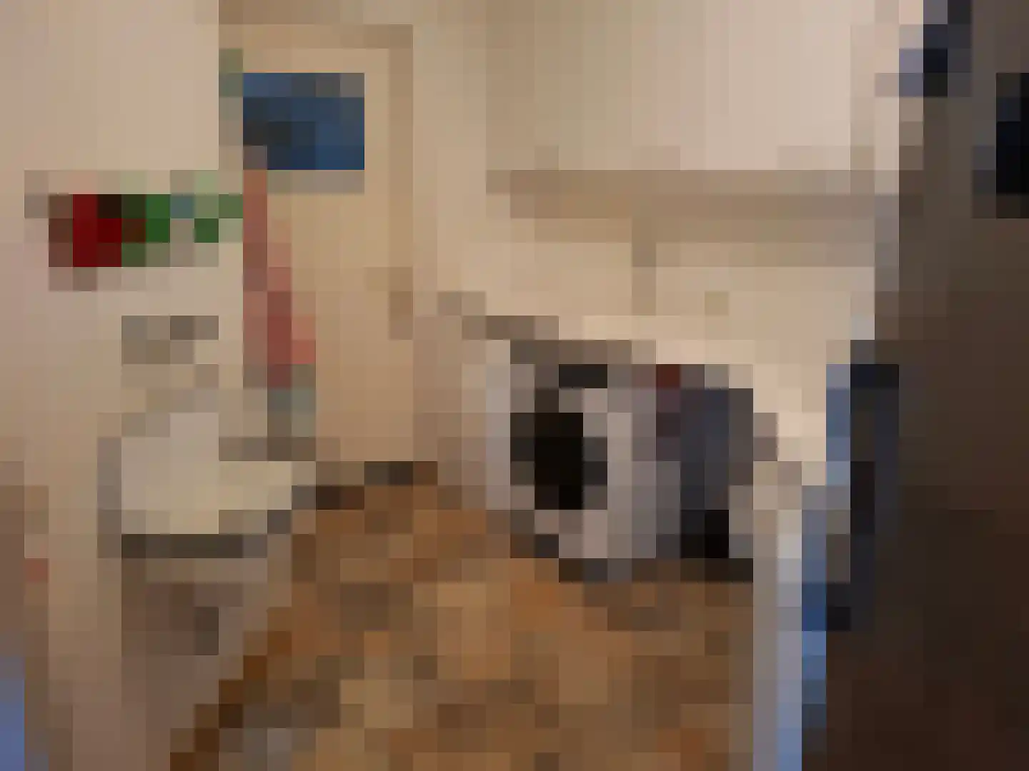Uilenbroekstraat 72 Heeten thumbnail 18