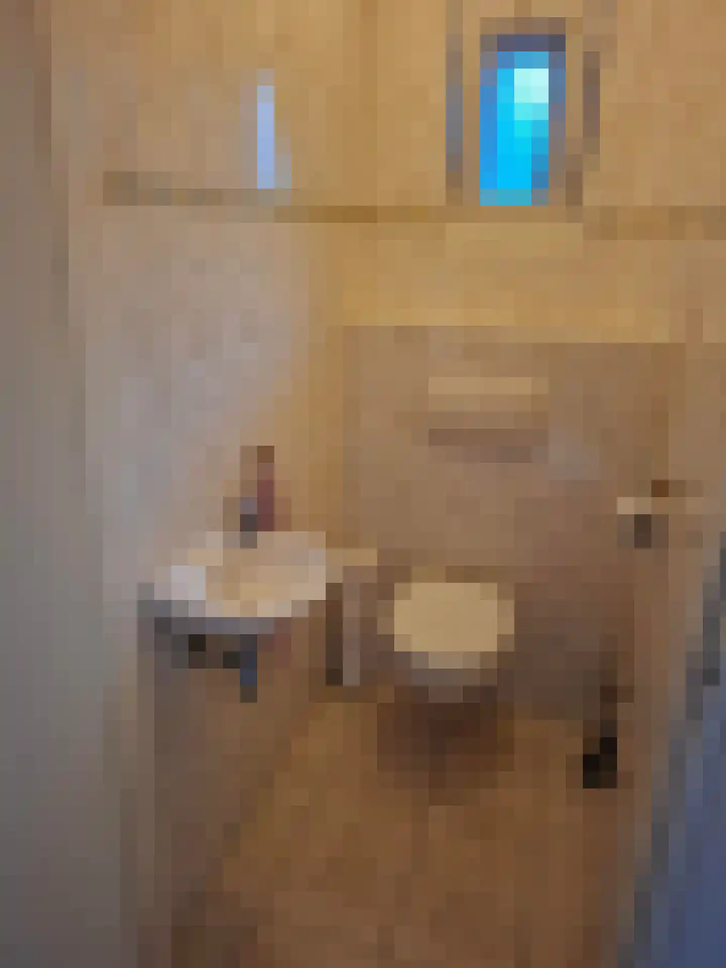 Uilenbroekstraat 72 Heeten thumbnail 19