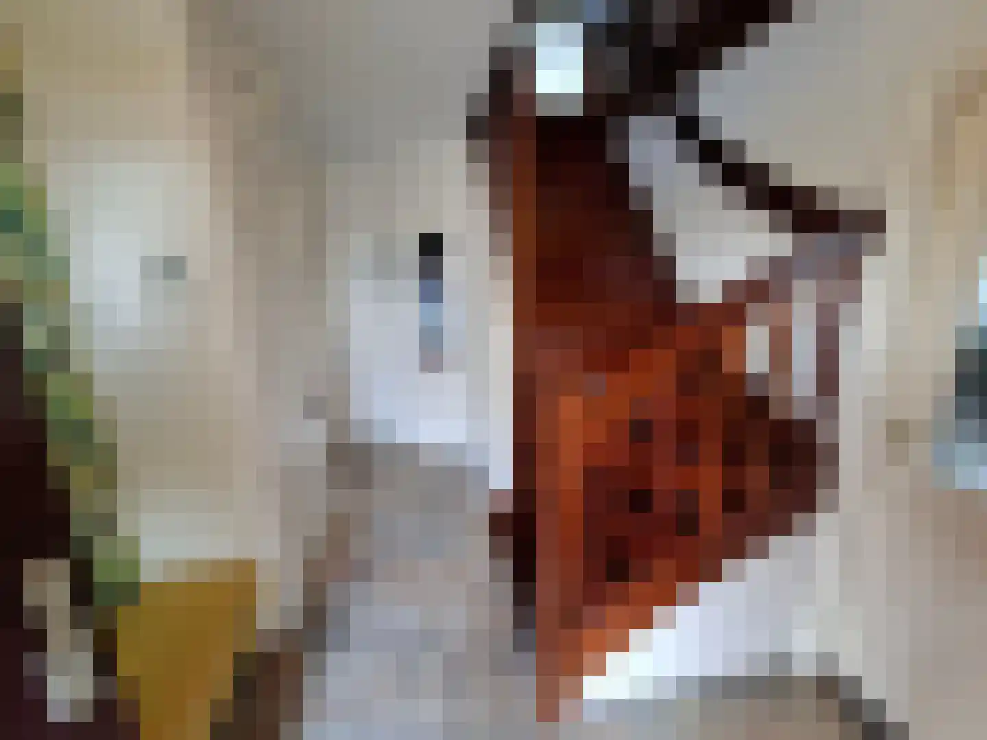 Uilenbroekstraat 72 Heeten thumbnail 20