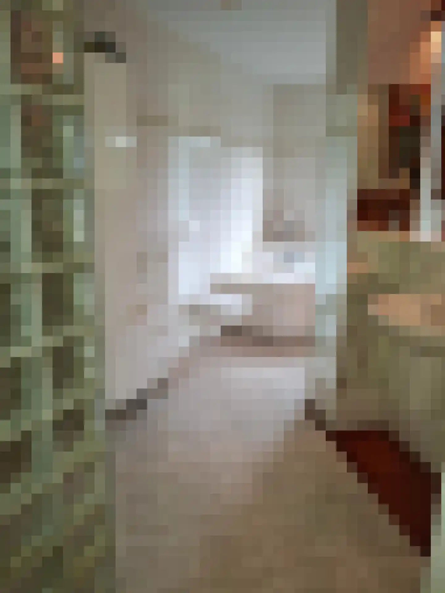 Uilenbroekstraat 72 Heeten thumbnail 27