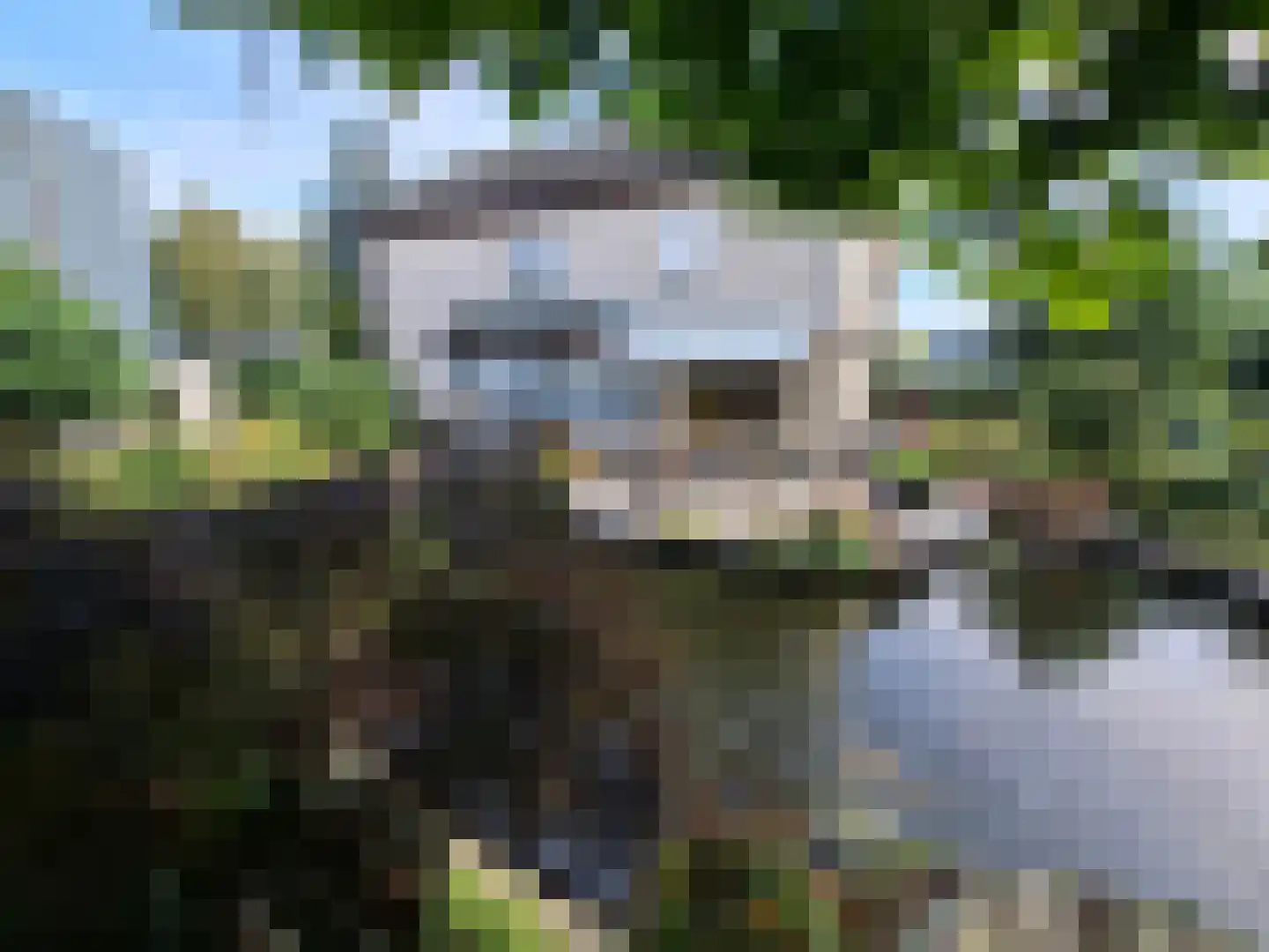 Uilenbroekstraat 72 Heeten thumbnail 6