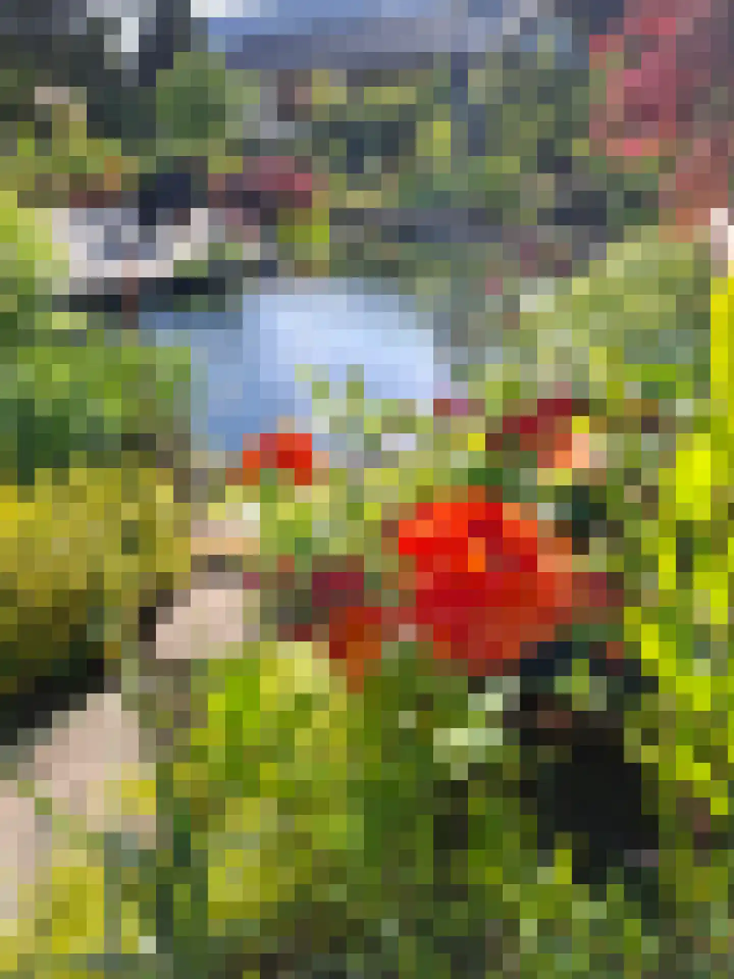 Uilenbroekstraat 72 Heeten thumbnail 8