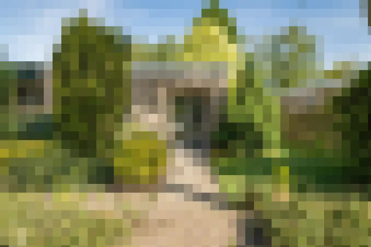 Uilenbroekstraat 90 Heeten thumbnail 5