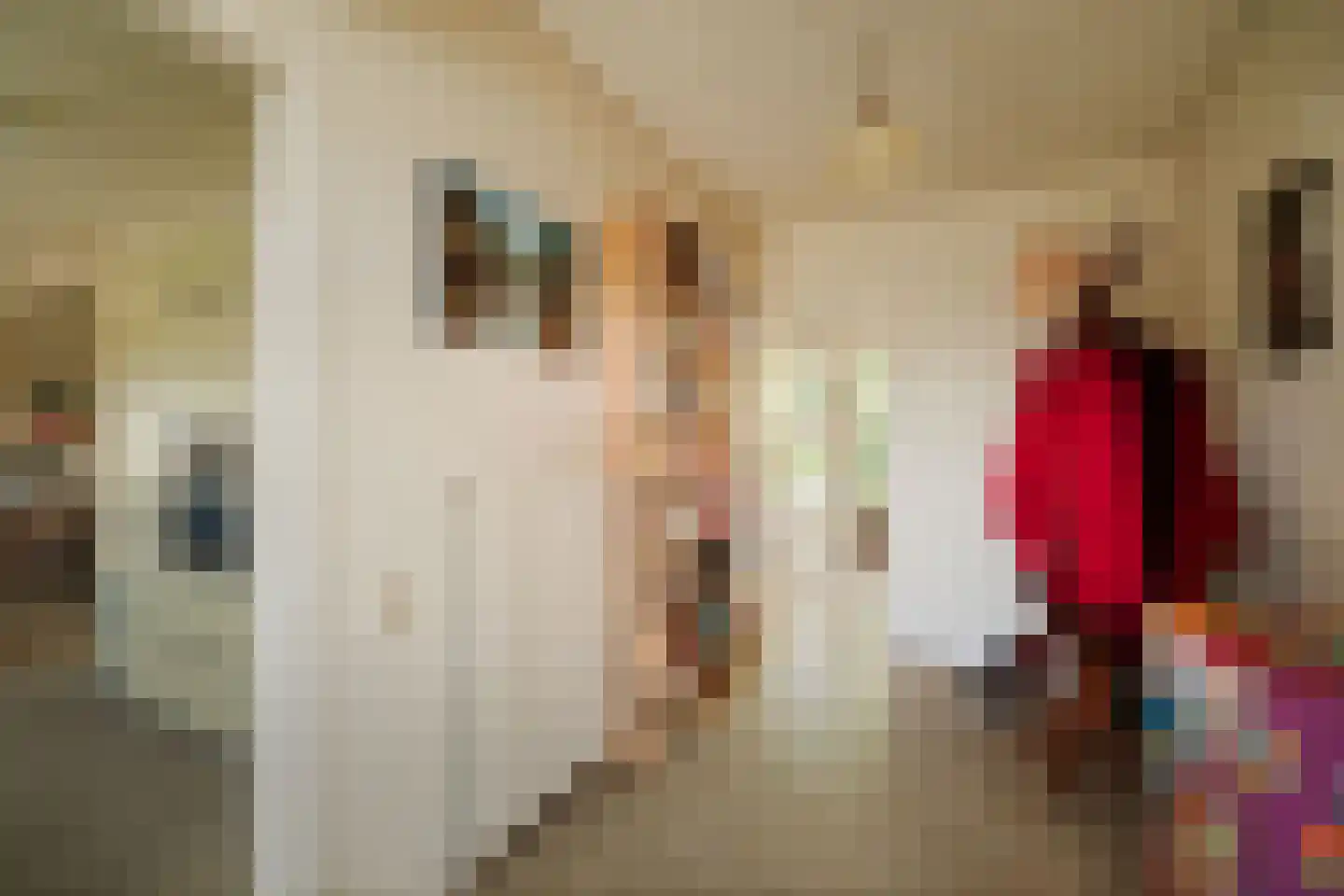 Uilenbroekstraat 90 Heeten thumbnail 6