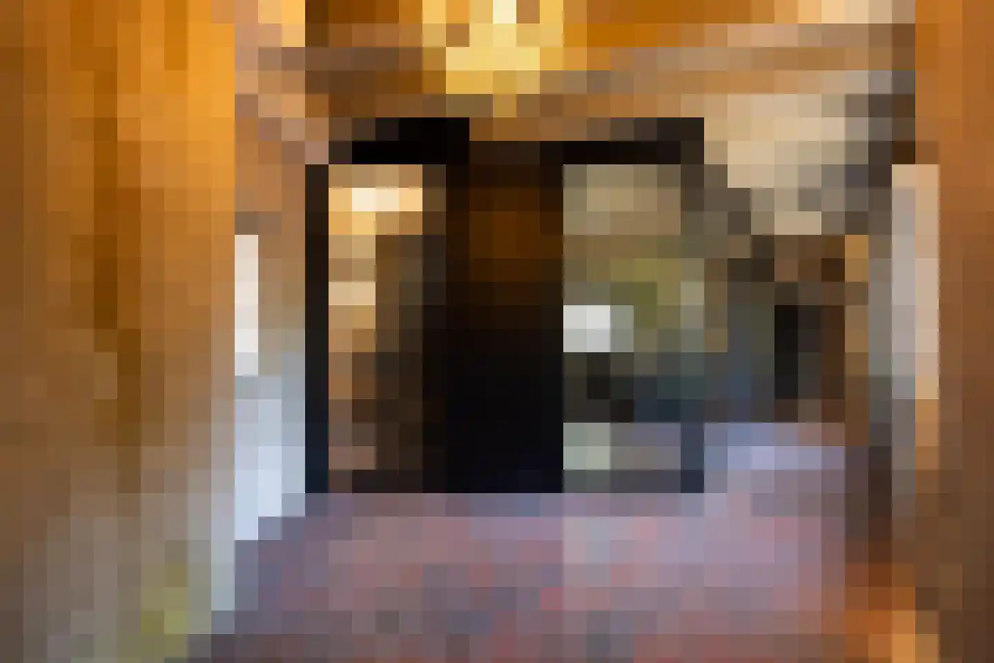 Uilenburg 14 's-Hertogenbosch thumbnail 22