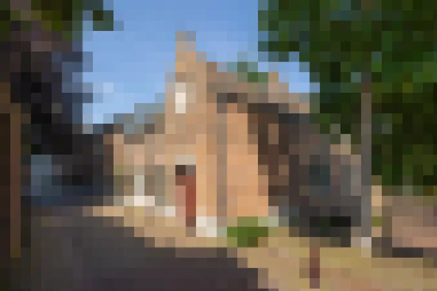 Uilenburg 14 's-Hertogenbosch thumbnail 26