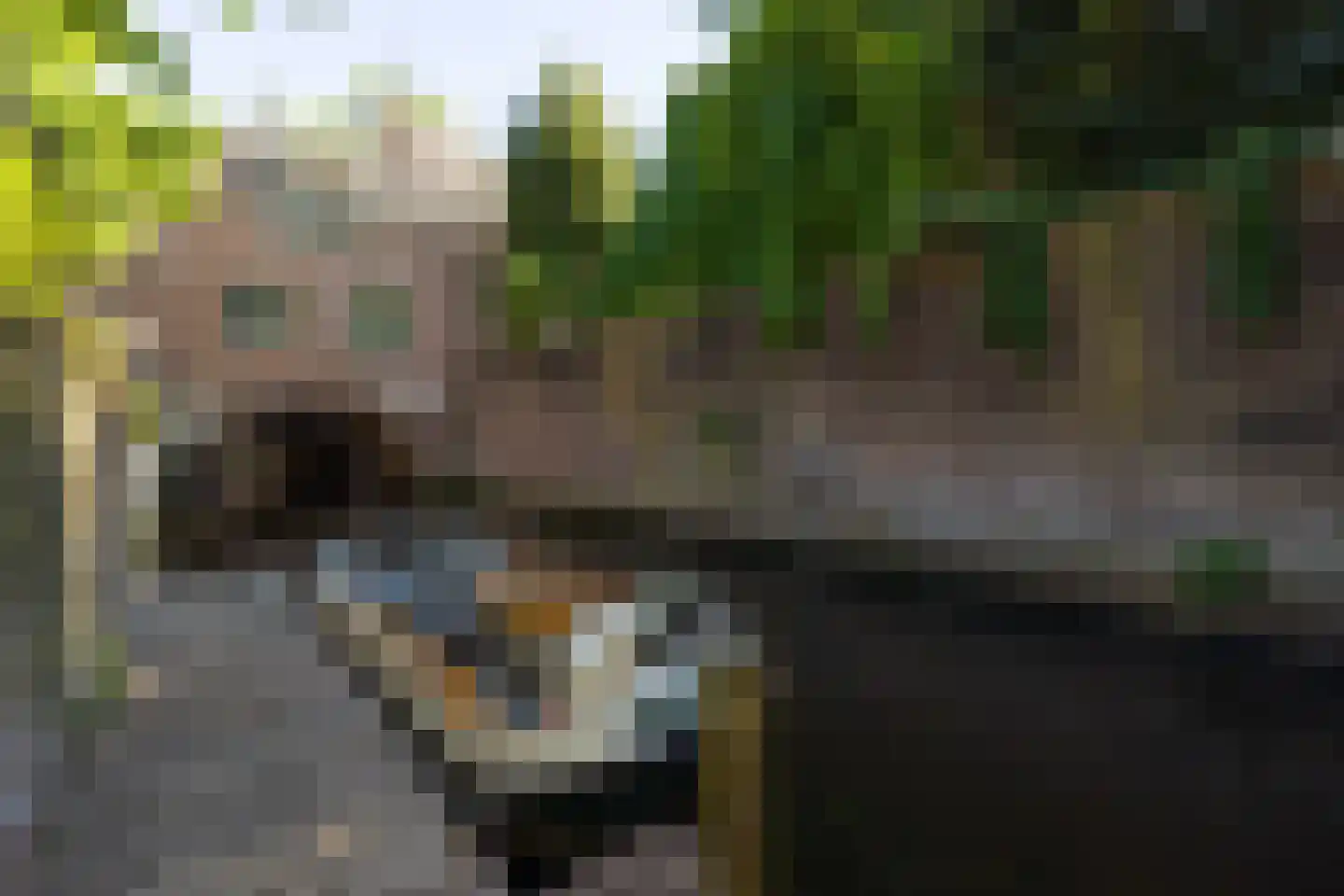 Uilenburg 14 's-Hertogenbosch thumbnail 28