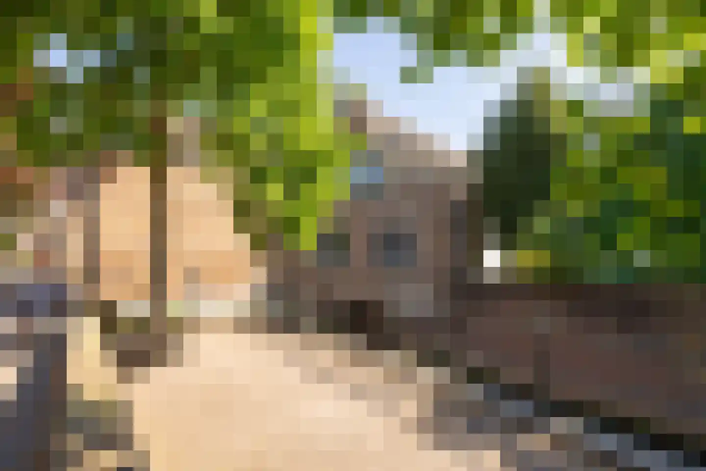 Uilenburg 14 's-Hertogenbosch thumbnail 29