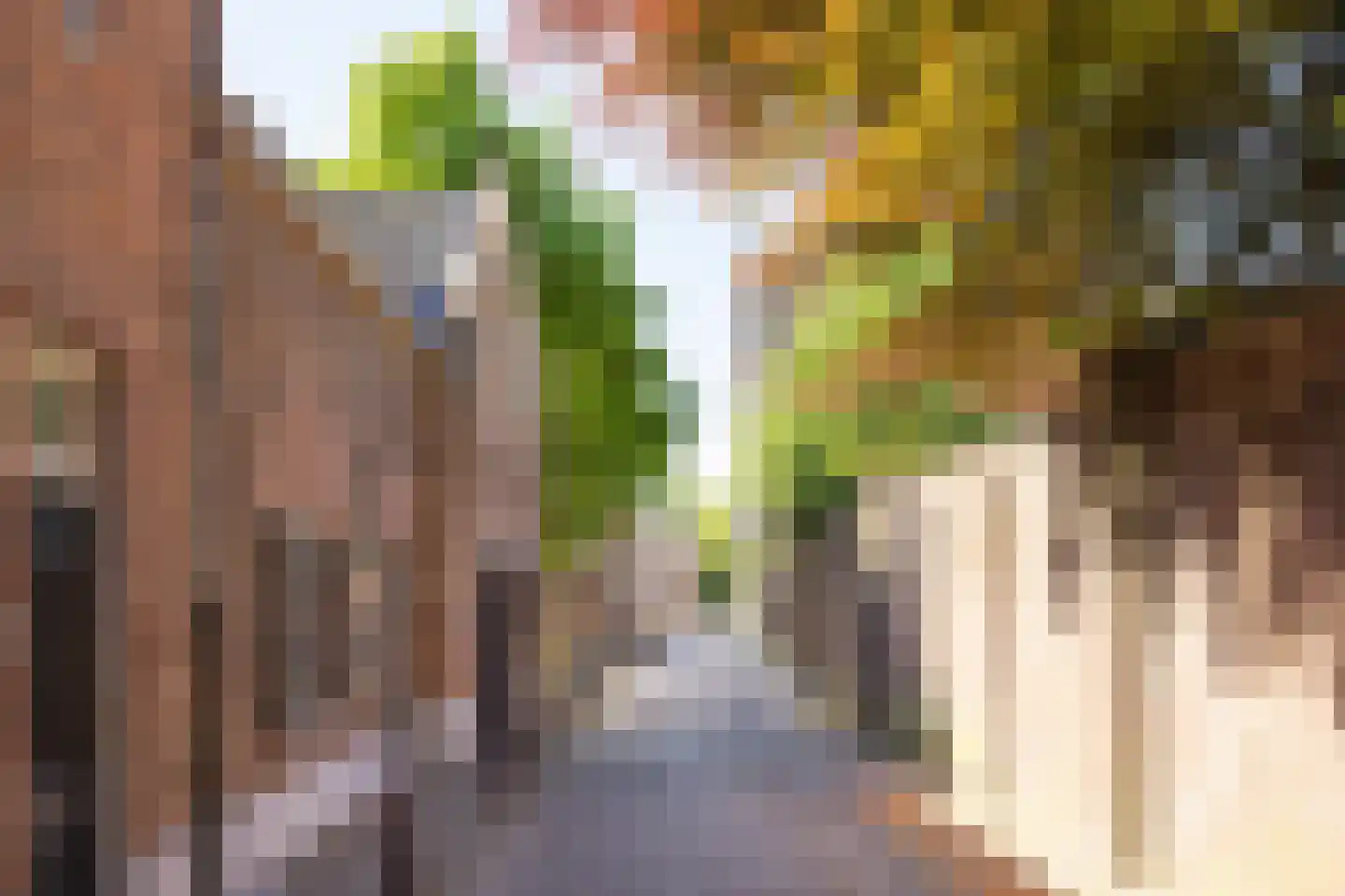 Uilenburg 14 's-Hertogenbosch thumbnail 30