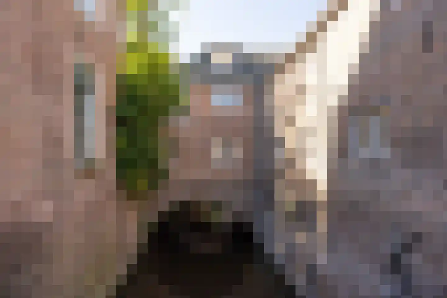 Uilenburg 14 's-Hertogenbosch thumbnail 31