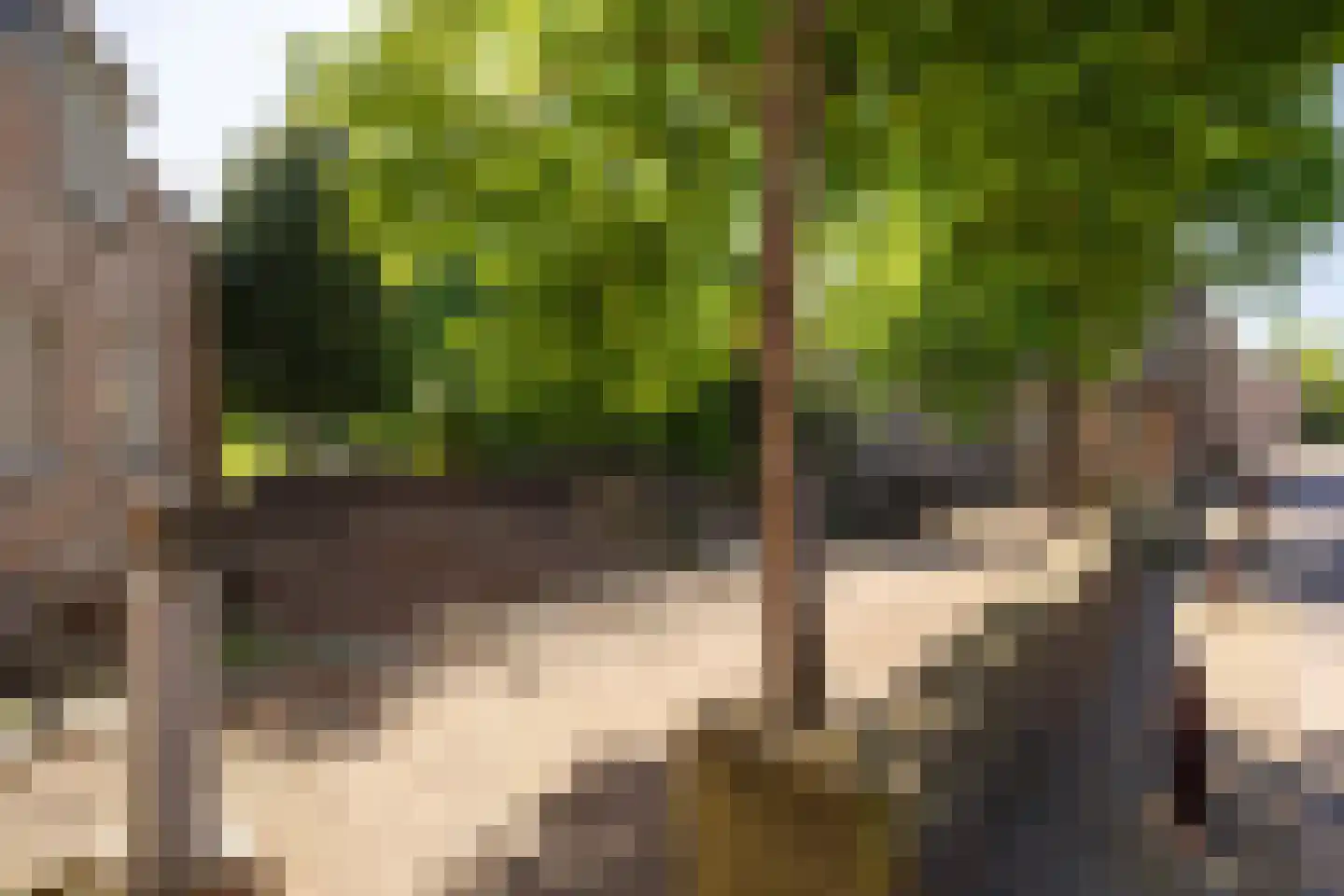 Uilenburg 14 's-Hertogenbosch thumbnail 33