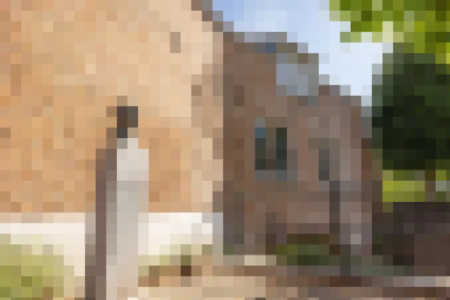 Uilenburg 14 's-Hertogenbosch thumbnail 34