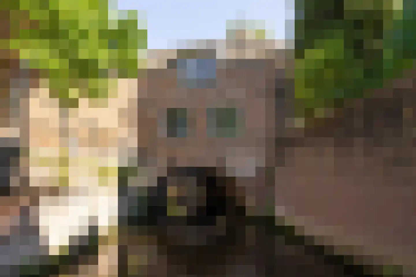 Uilenburg 14 's-Hertogenbosch thumbnail 35