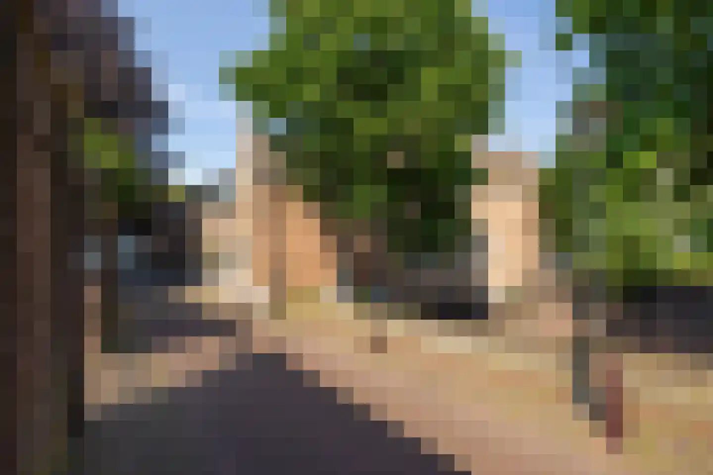 Uilenburg 14 's-Hertogenbosch thumbnail 36