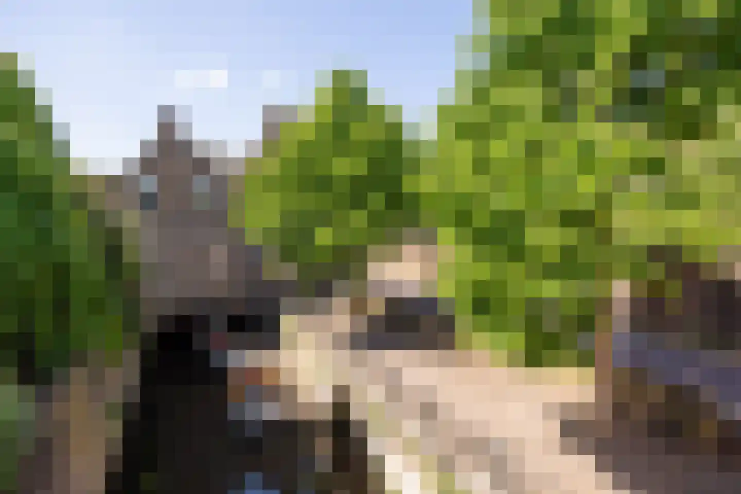 Uilenburg 14 's-Hertogenbosch thumbnail 37