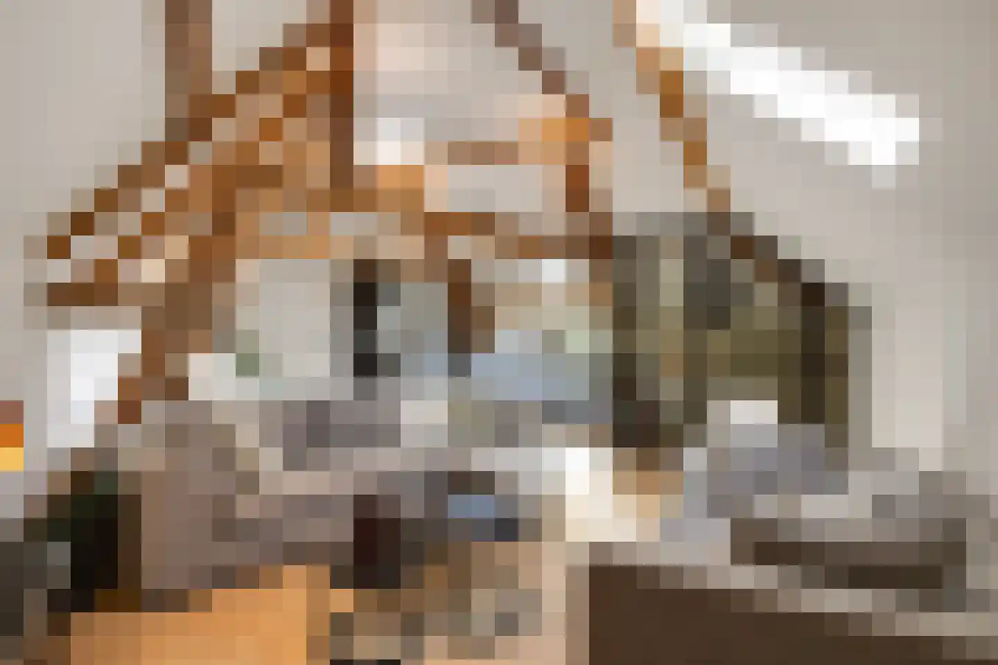 Uilenburg 14 's-Hertogenbosch thumbnail 6