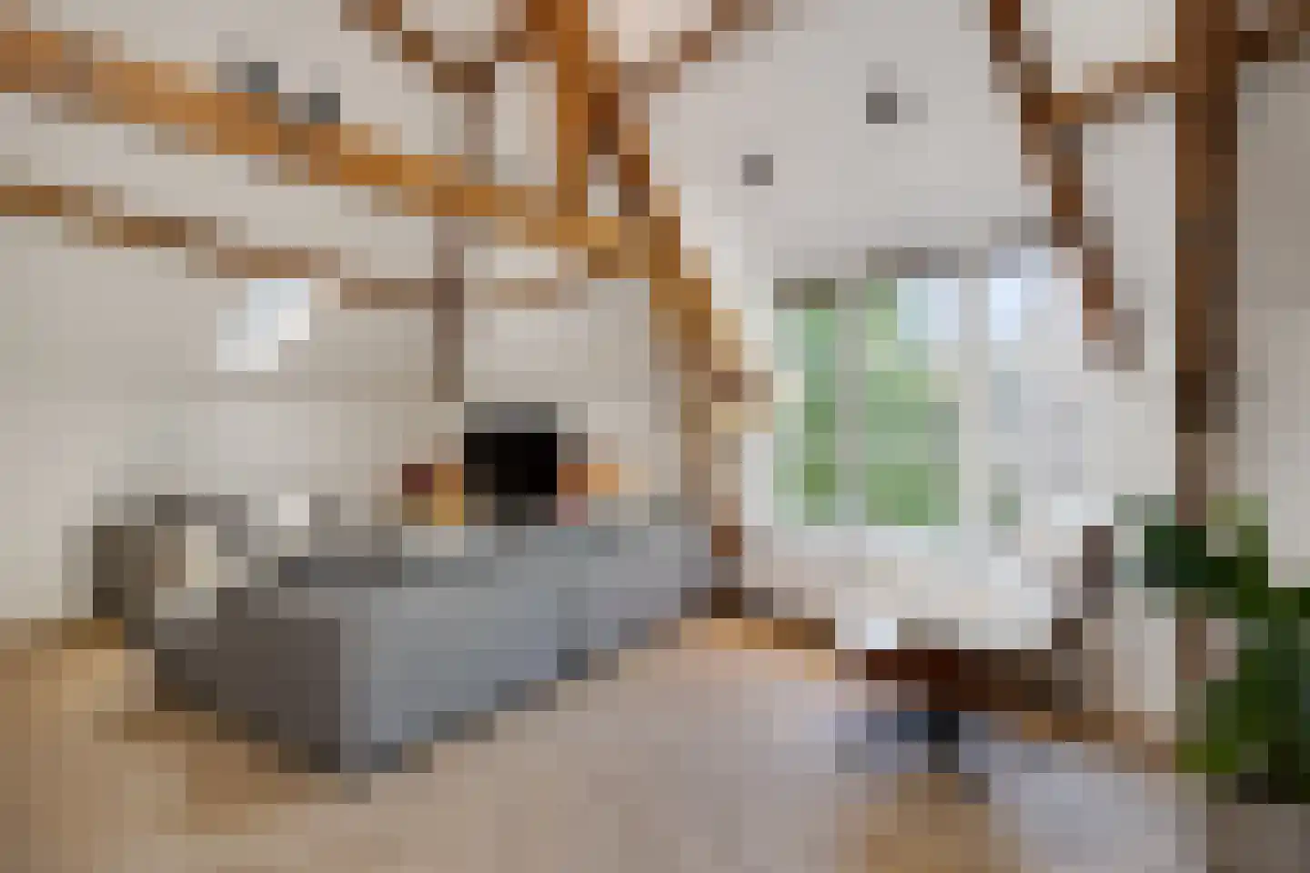 Uilenburg 14 's-Hertogenbosch thumbnail 9