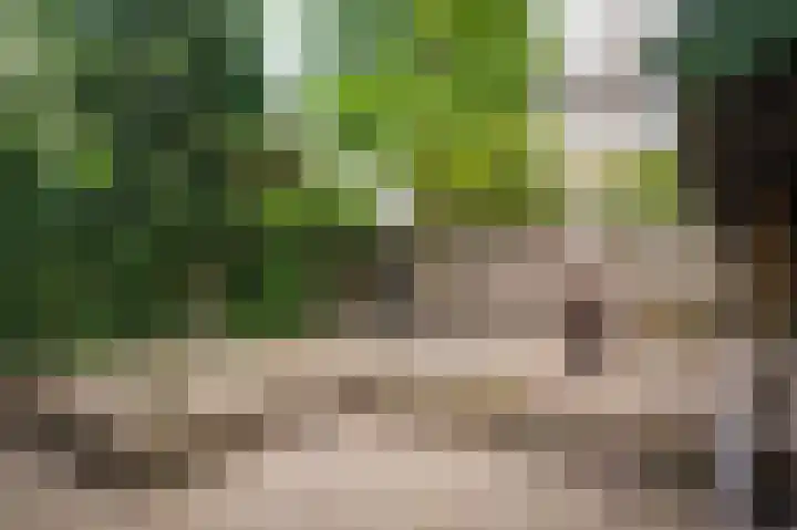 Uilenburg 22 's-Hertogenbosch thumbnail 26