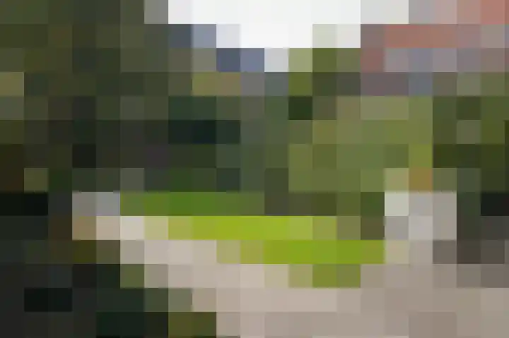 Uilenburg 22 's-Hertogenbosch thumbnail 39