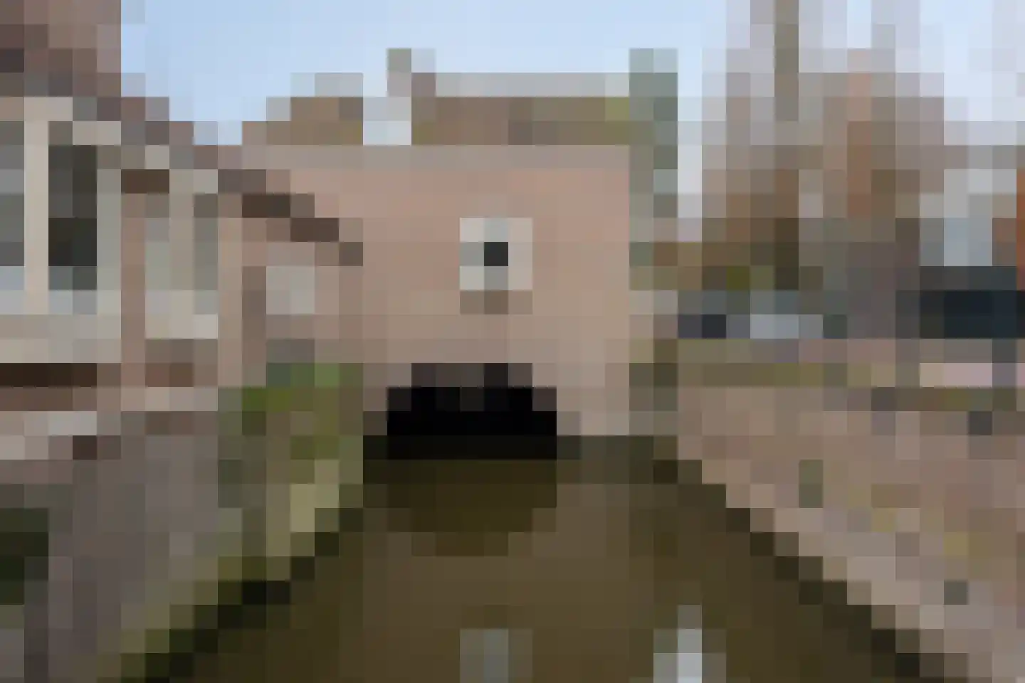Uilenburg 28 's-Hertogenbosch