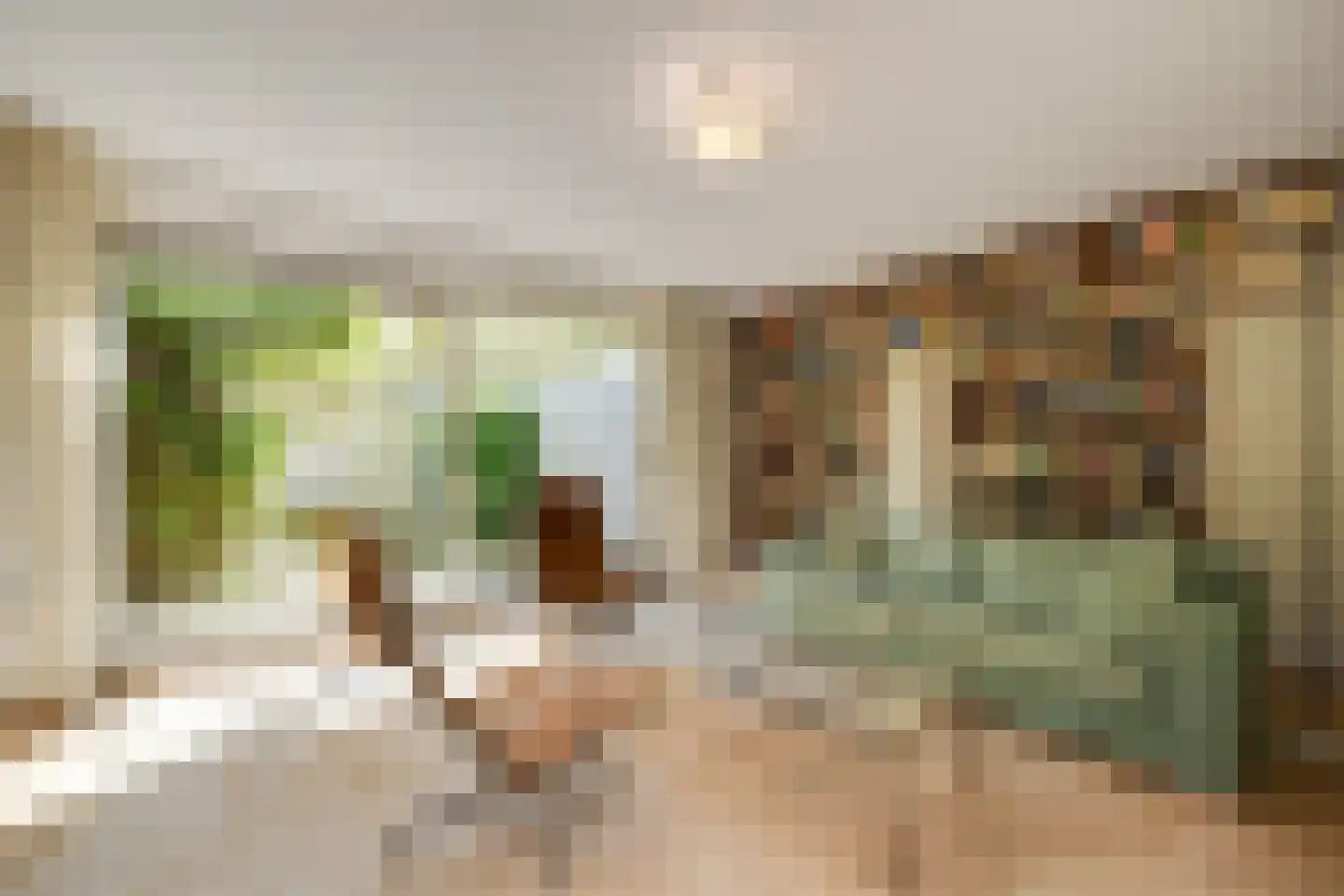 Uilenburg 28 's-Hertogenbosch thumbnail 13