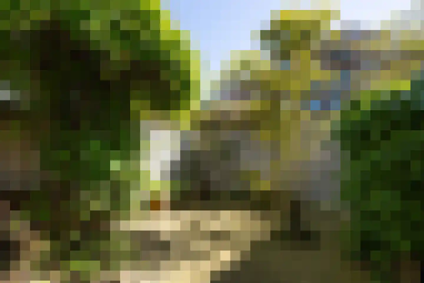 Uilenburg 28 's-Hertogenbosch thumbnail 20