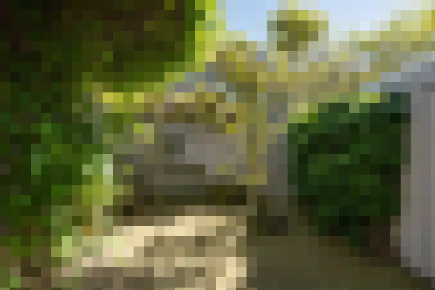 Uilenburg 28 's-Hertogenbosch thumbnail 21