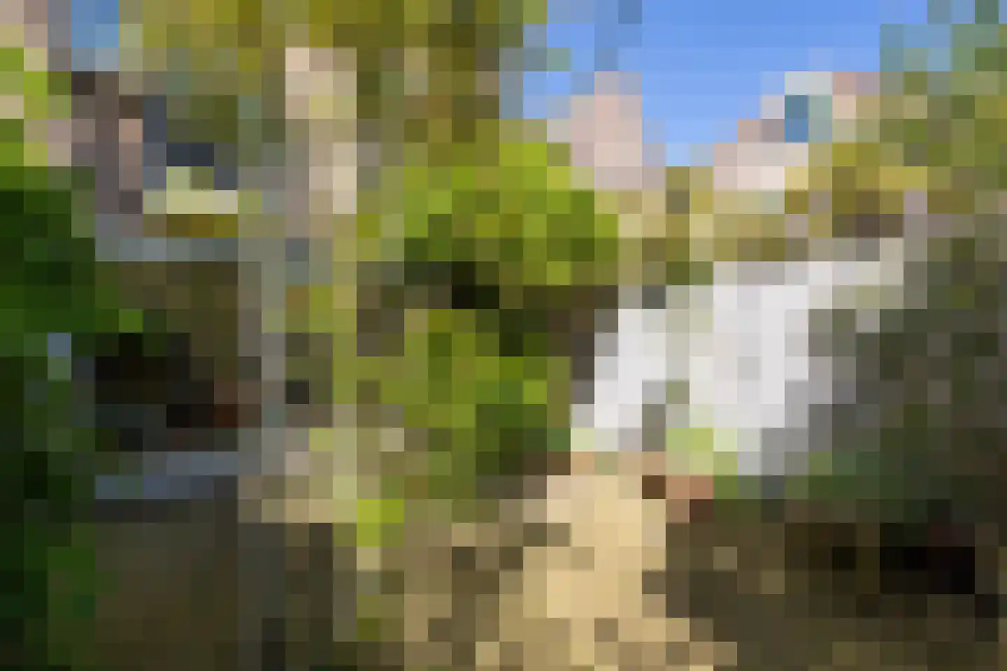 Uilenburg 28 's-Hertogenbosch thumbnail 22