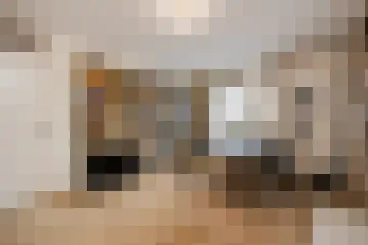 Uilenburg 28 's-Hertogenbosch thumbnail 24