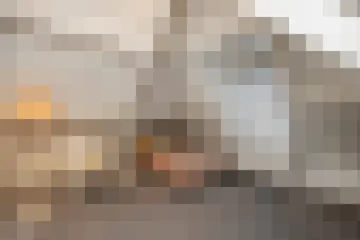 Uilenburg 28 's-Hertogenbosch thumbnail 33