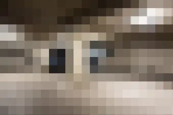 Uilenburg 28 's-Hertogenbosch thumbnail 36