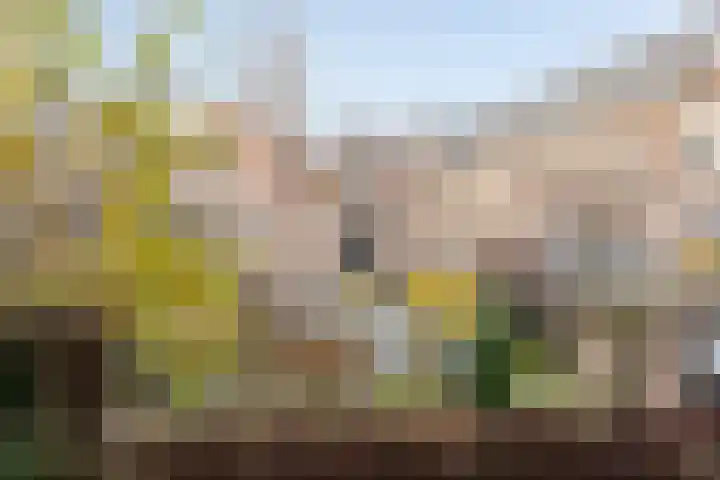 Uilenburg 28 's-Hertogenbosch thumbnail 38