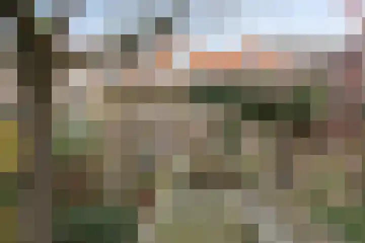 Uilenburg 28 's-Hertogenbosch thumbnail 39