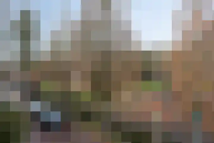Uilenburg 28 's-Hertogenbosch thumbnail 4