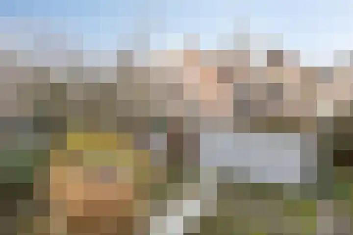 Uilenburg 28 's-Hertogenbosch thumbnail 40