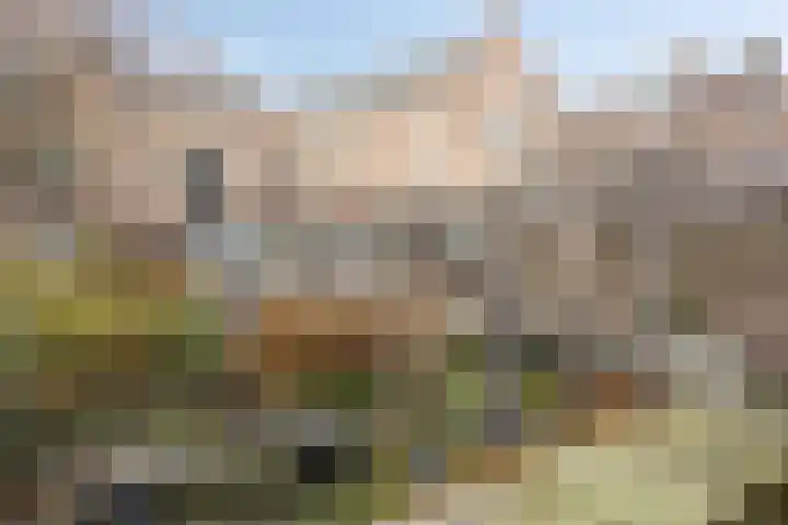 Uilenburg 28 's-Hertogenbosch thumbnail 41