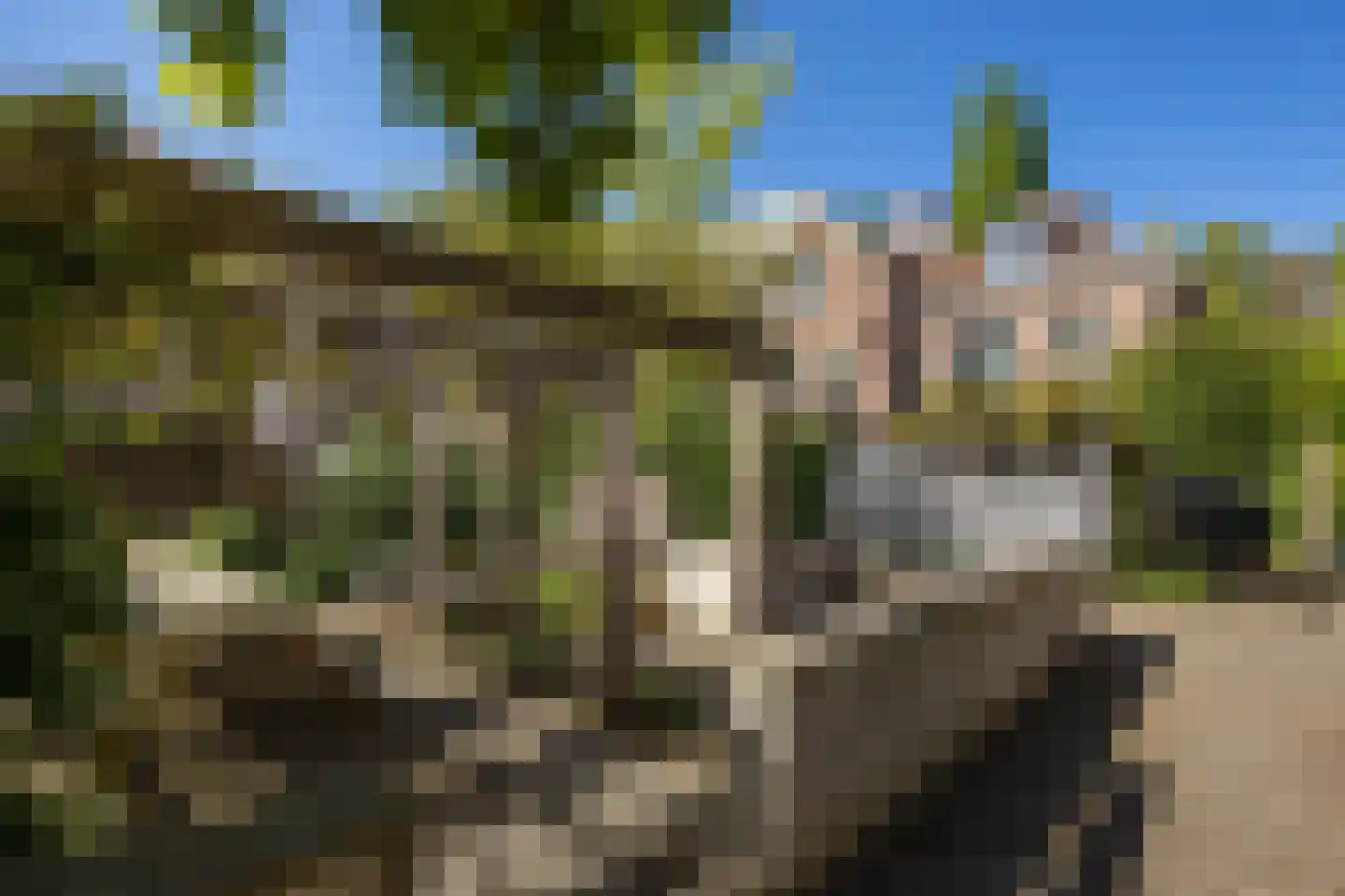 Uilenburg 28 's-Hertogenbosch thumbnail 42