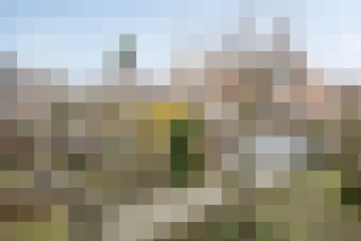 Uilenburg 28 's-Hertogenbosch thumbnail 42