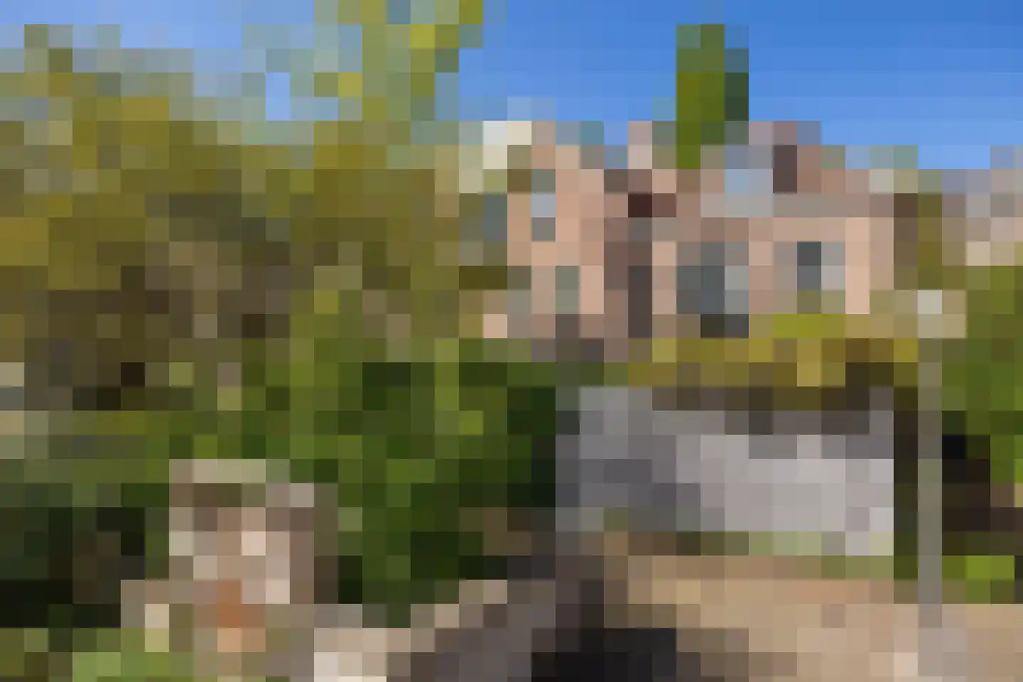 Uilenburg 28 's-Hertogenbosch thumbnail 43