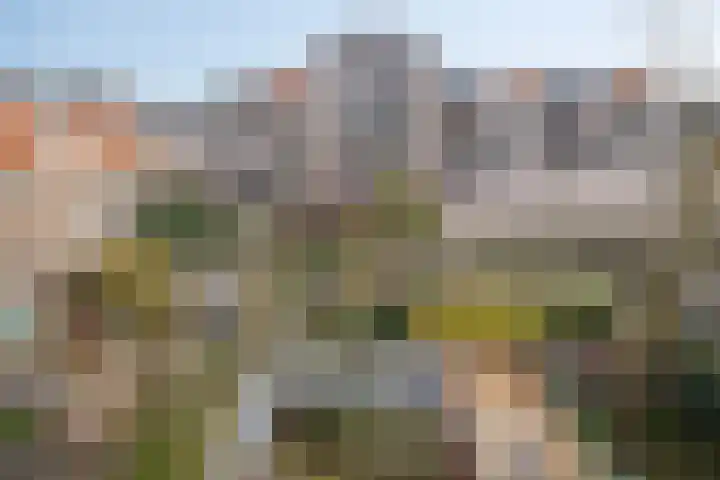 Uilenburg 28 's-Hertogenbosch thumbnail 44