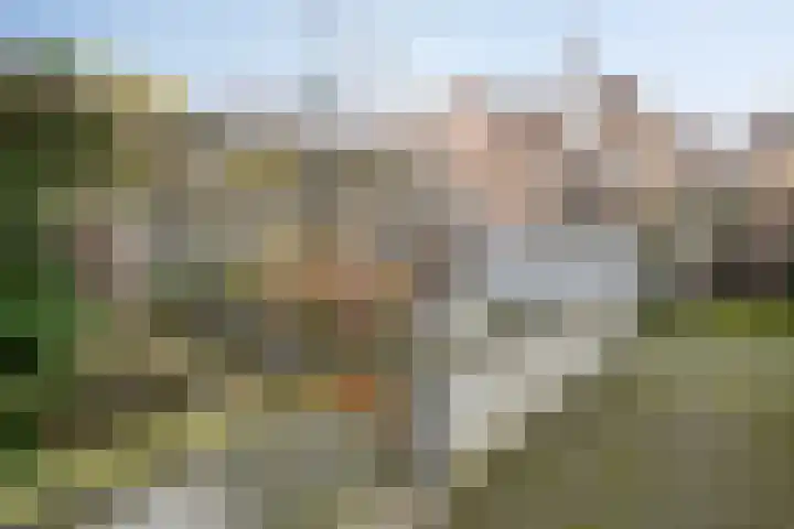 Uilenburg 28 's-Hertogenbosch thumbnail 45
