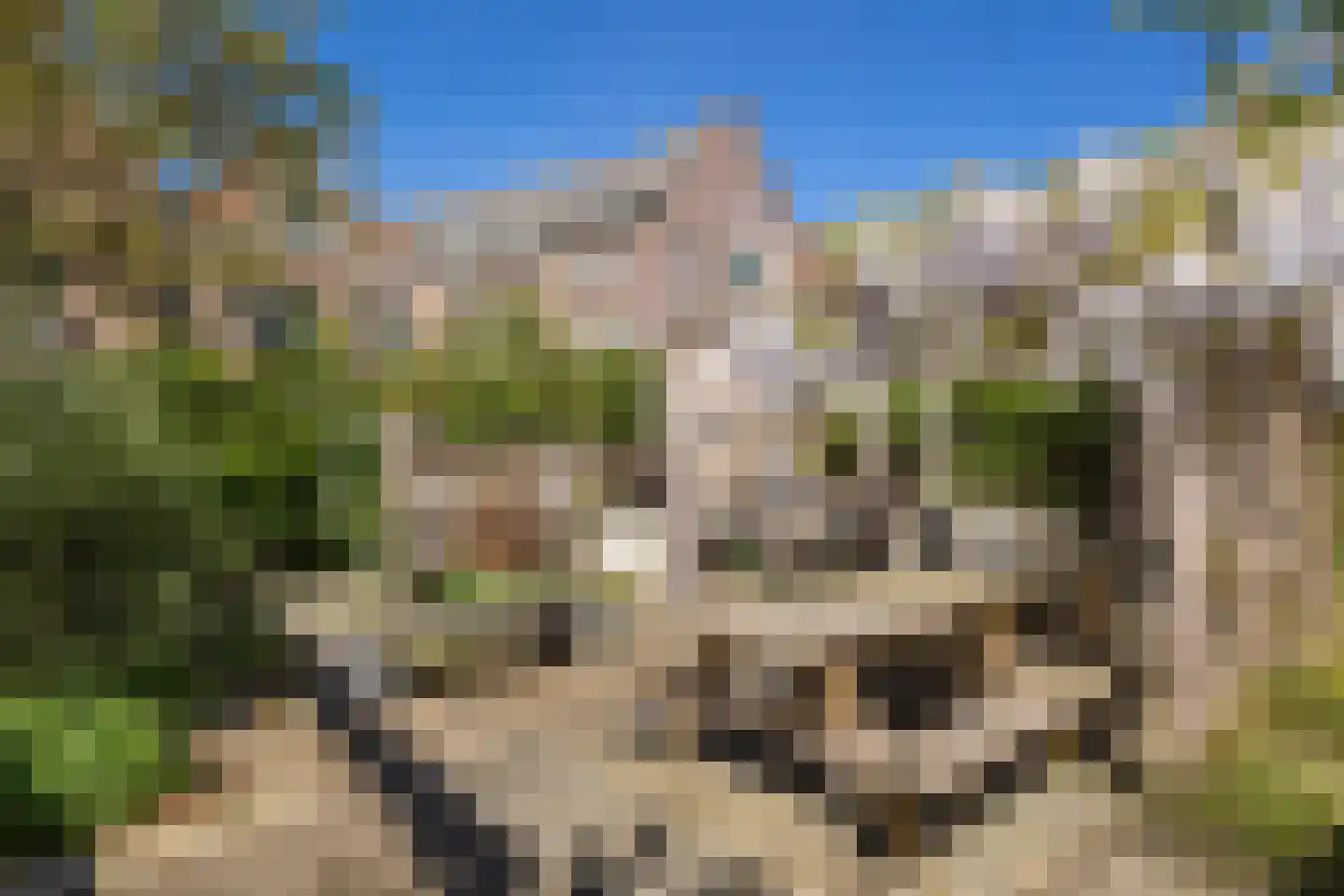 Uilenburg 28 's-Hertogenbosch thumbnail 45
