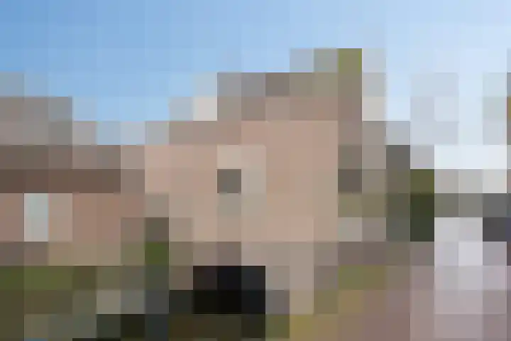 Uilenburg 28 's-Hertogenbosch thumbnail 47