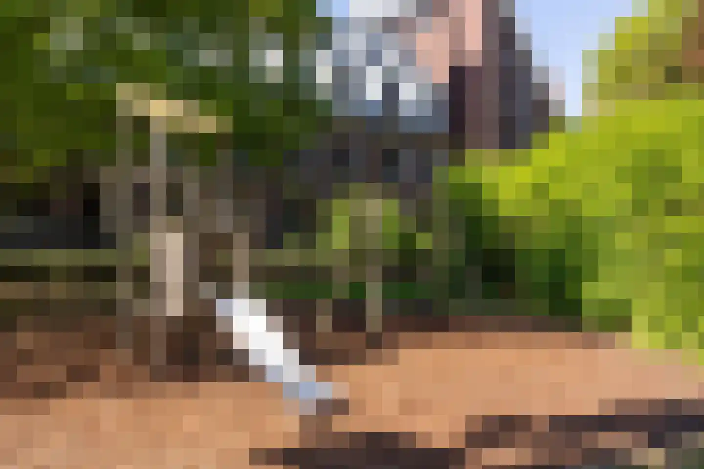 Uilenburg 28 's-Hertogenbosch thumbnail 48