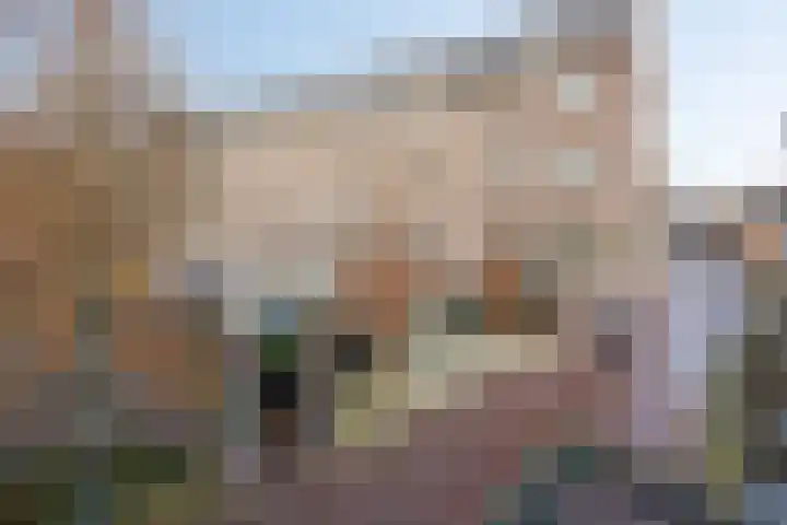 Uilenburg 28 's-Hertogenbosch thumbnail 48