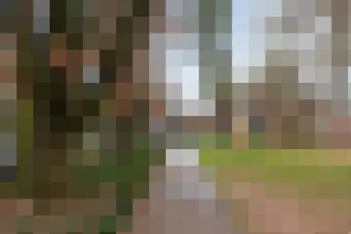 Uilenburg 28 's-Hertogenbosch thumbnail 49