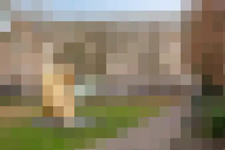 Uilenburg 28 's-Hertogenbosch thumbnail 50