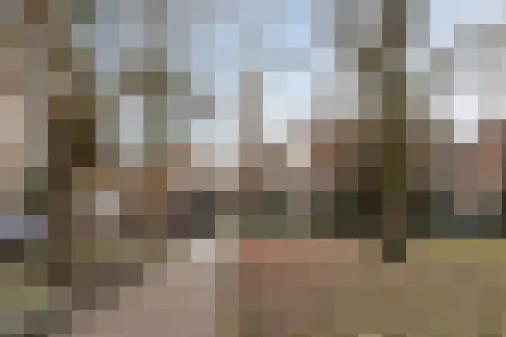 Uilenburg 28 's-Hertogenbosch thumbnail 51