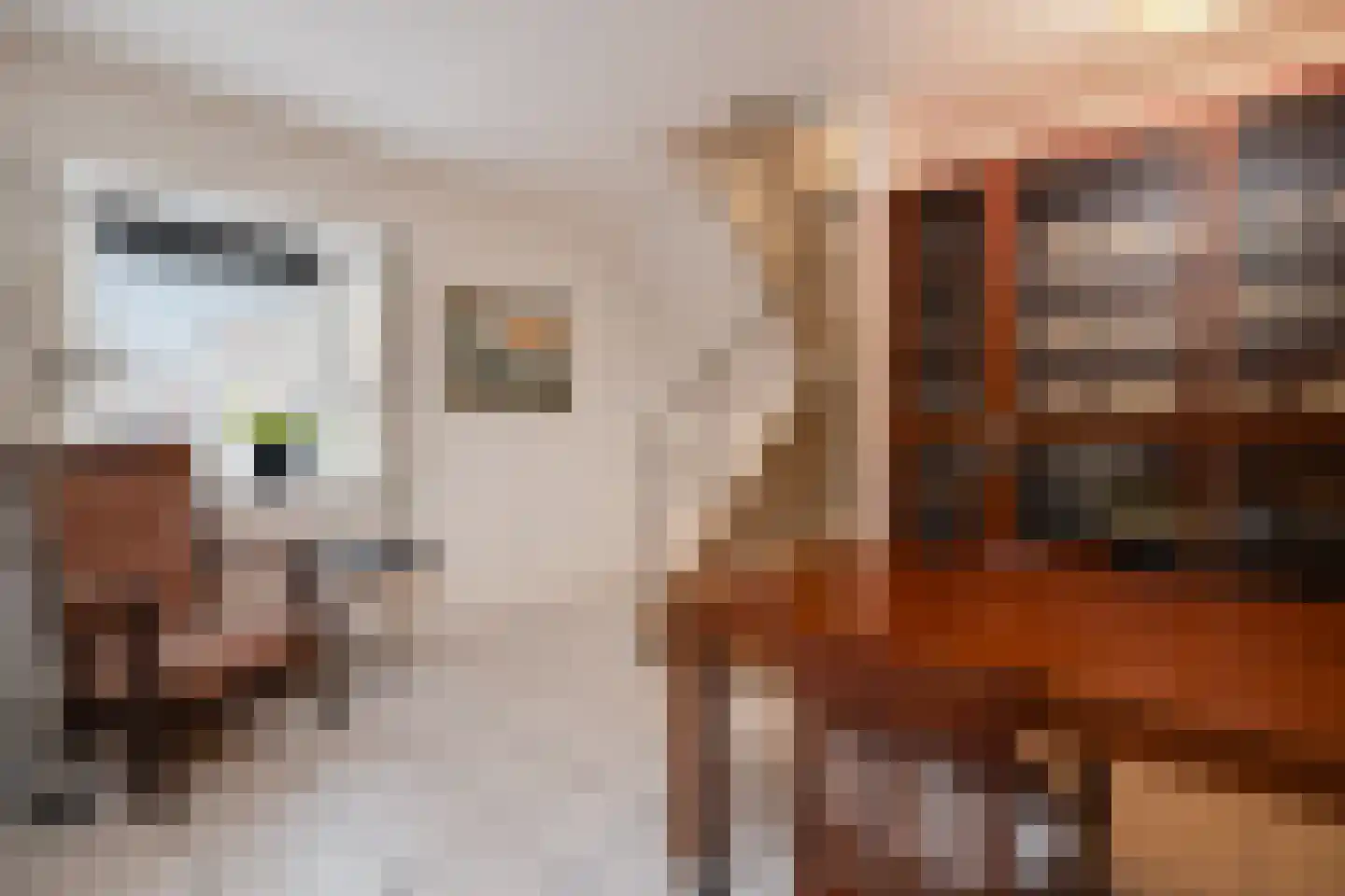 Uilenburg 28 's-Hertogenbosch thumbnail 6