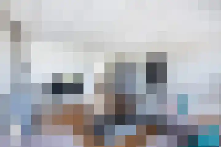 Uilenburg 30 IJlst thumbnail 11